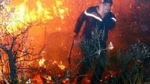 Planète - LES FORTES CHALEURS LES FAVORISENT:  Quelles sont les causes des incendies de forêt ?