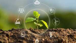 L'économie circulaire en Algérie : potentiel, perspectives et défis