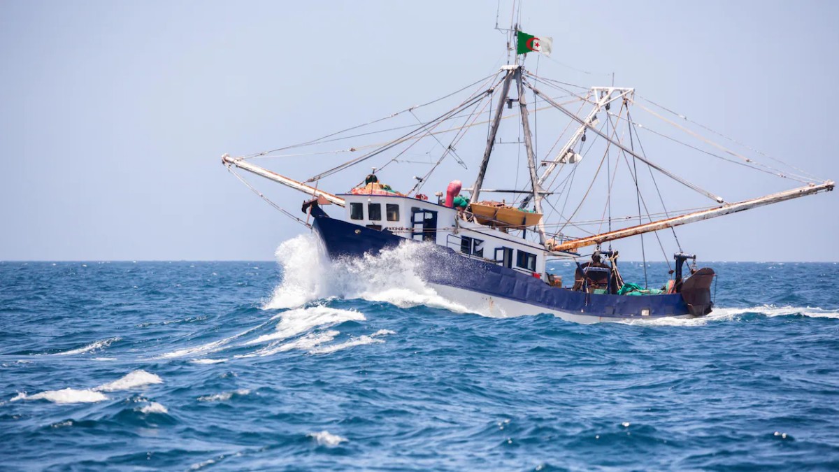 Pêche en haute mer : Tlemcen inaugure deux ateliers de fabrication de navires