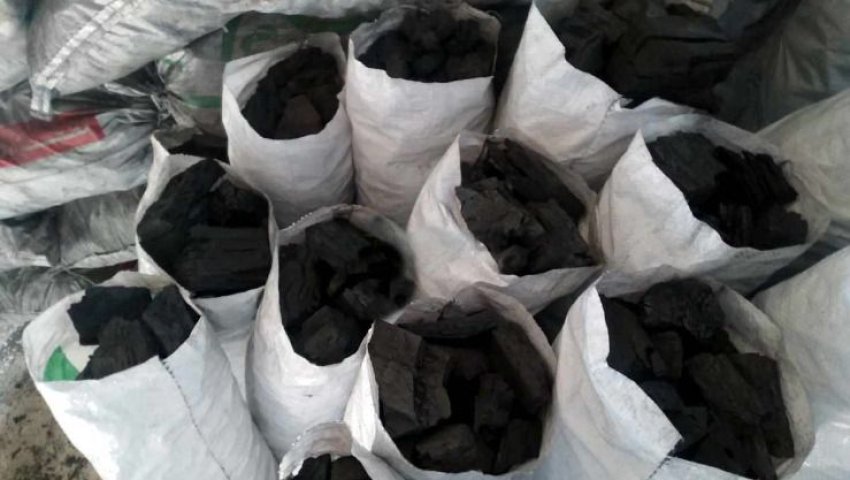 Oued Athmania (Mila) - Arrestation de deux trafiquants de charbon de bois