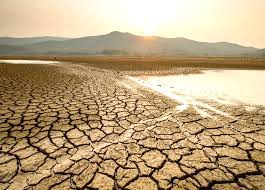 Planète (Algérie/Afrique) - Pour faire face au stress hydrique en Algérie, les chercheurs du CRE tranchent: «La solution est le traitement et le recyclage des eaux usées»