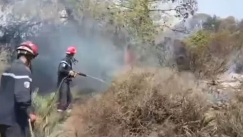 Ain El Berd (Sidi Bel Abbes) - Incendie de la forêt: Plus de 28 hectares partis en fumée