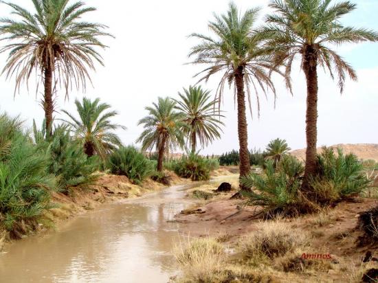 La légende de l’oued M’zi.