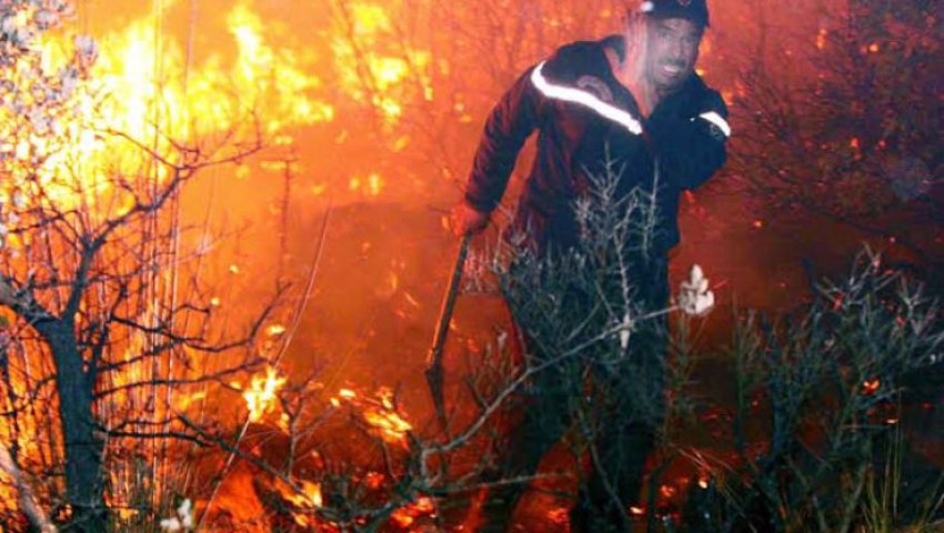 Planète - LES FORTES CHALEURS LES FAVORISENT:  Quelles sont les causes des incendies de forêt ?