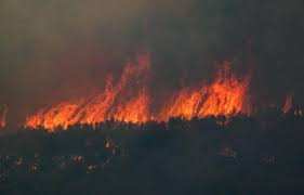 Planète (Europe) - Canicule: En Grèce, les pompiers aux prises avec une cinquantaine de nouveaux incendies