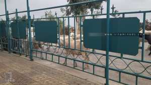 Les Ouled Aala أولاد أعلى