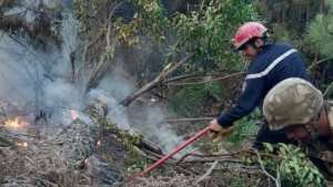 Algérie - Feux de forêt:  Le bilan s'alourdit à 34 décès