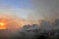 Planète - Grèce, Italie, Algérie… Le point sur les incendies meurtriers qui font rage