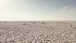 Planète - Partout sur Terre, la sécurité alimentaire est menacée par les vagues de chaleur