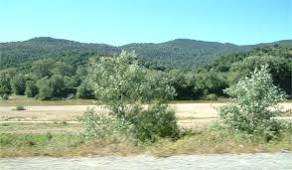 Première insurrection  à  el milia