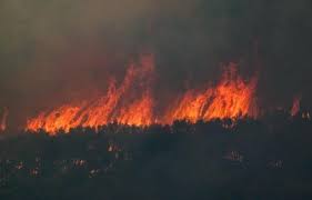 Planète (Europe) - Canicule: En Grèce, les pompiers aux prises avec une cinquantaine de nouveaux incendies