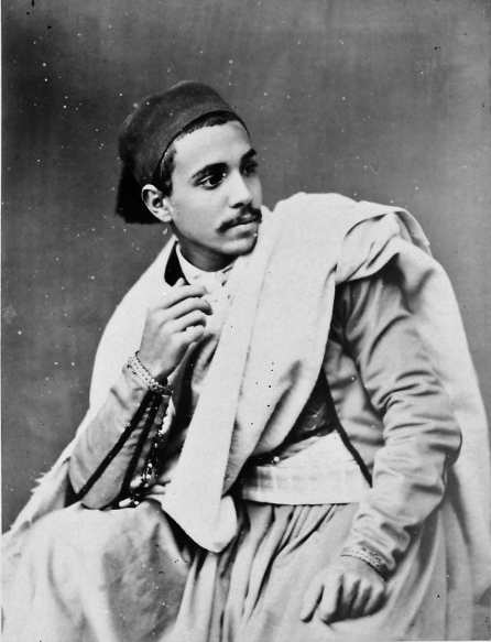 Le roi et le hibou (Conte kabyle)