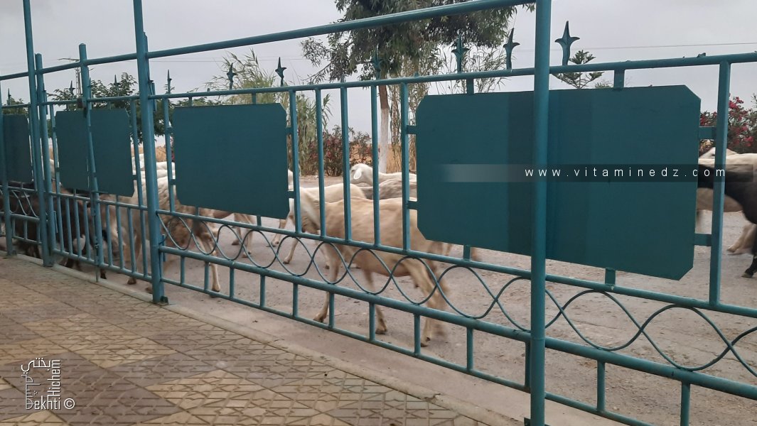 Les Ouled Aala أولاد أعلى