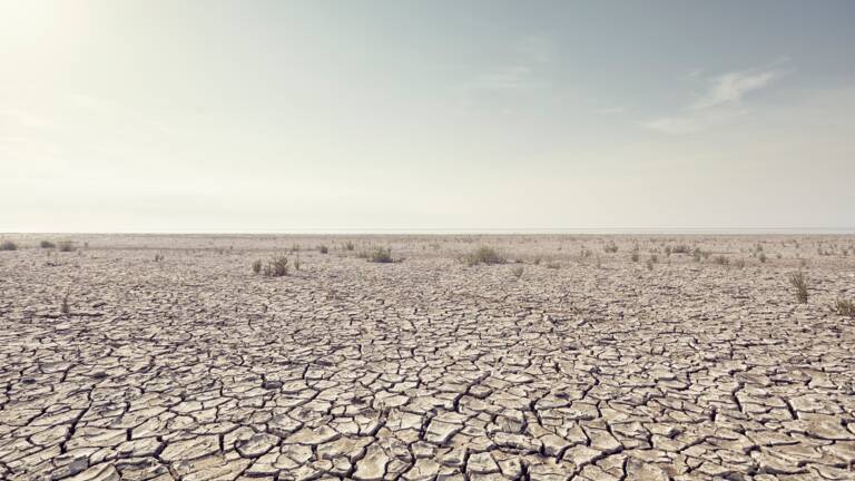 Planète - Partout sur Terre, la sécurité alimentaire est menacée par les vagues de chaleur