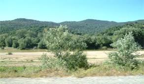 Première insurrection  à  el milia