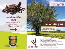Algérie (Tlemcen) - SARL «Boublenza Agro»:   Le filon de la poudre de caroube