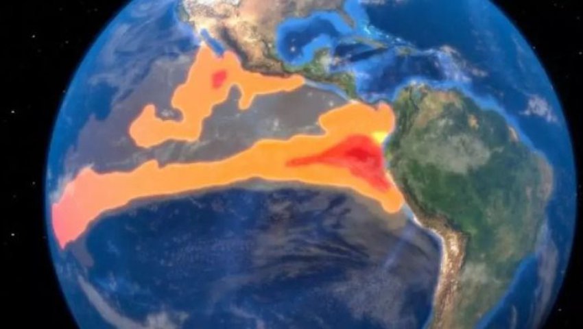 Planète - L'OMS appelle à une 