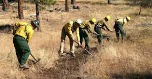 Algérie (Tlemcen) -  Les forêts sous haute surveillance