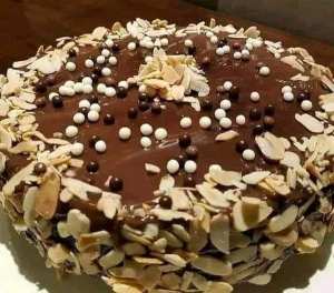 Gâteau fondant aux biscuits et au chocolat sans farine