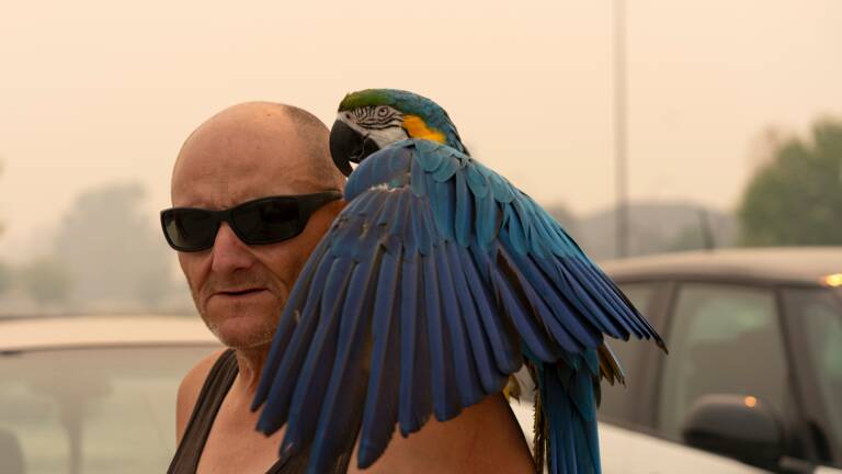 Planète (Canada/Amérique du Nord)  -  