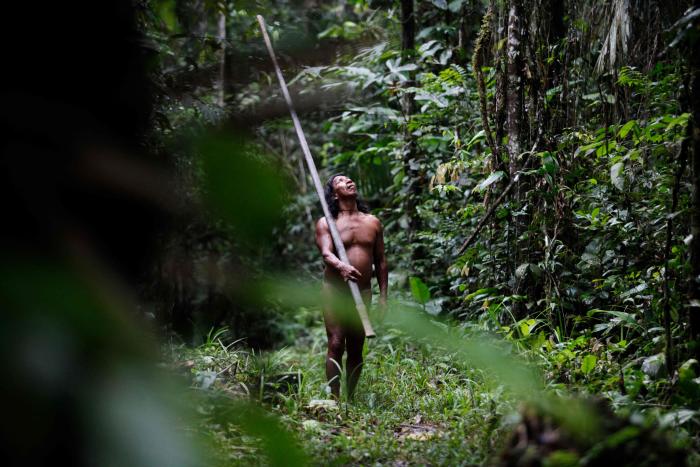 Planète (Amérique du Sud) - En Equateur, un référendum approuve l’arrêt de l’exploitation d’un gisement pétrolier dans la réserve amazonienne de Yasuni