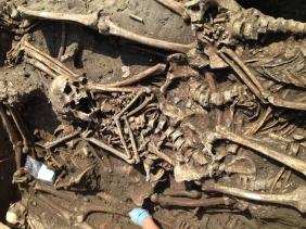 Tlemcen : Découverte d'un site funéraire de martyrs de la guerre de libération à Amieur