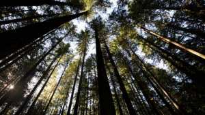 Planète (Amérique du Nord) -  C'est un jour historique : au Canada, un nouveau fonds mondial pour protéger la nature