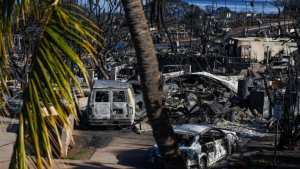 Planète (Etats-Unis/Océanie) - Hawaï: comment l'ananas a transformé l’île de Maui en une poudrière mortelle