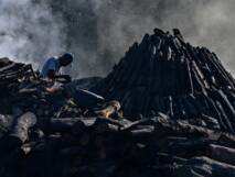 Planète (Panama/Amérique centrale) -  Protéger la planète ou conserver son emploi, le dilemme des charbonniers panaméens