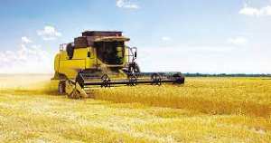 Algérie (Constantine) - Récolte des céréales: Une baisse de 60% de la production