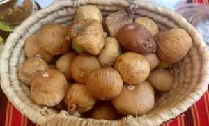 Figuiculture à Tizi-Ouzou : une filière ancestrale remise au goût du jour