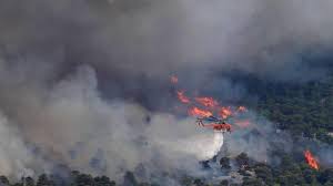 Planète (Europe) - CARTE. Incendies en Grèce: ce que l’on sait sur les feux qui ont tué 20 personnes en deux jours