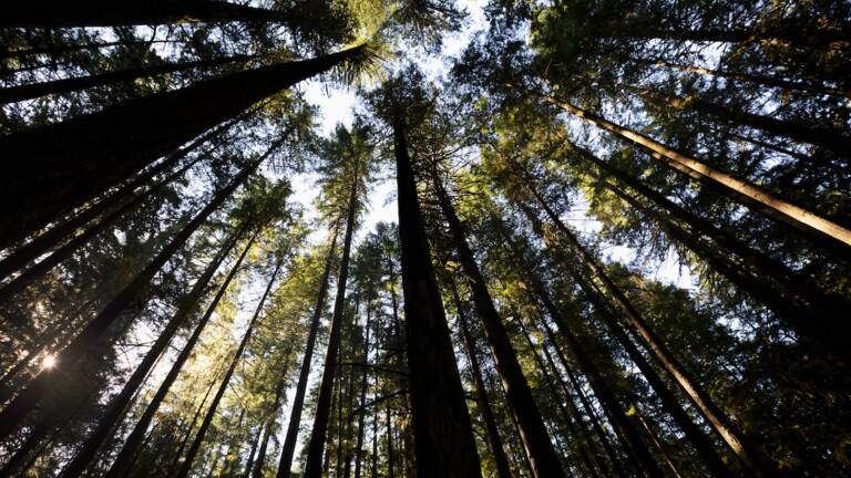 Planète (Amérique du Nord) - 