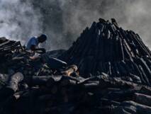 Planète (Panama/Amérique centrale) -  Protéger la planète ou conserver son emploi, le dilemme des charbonniers panaméens