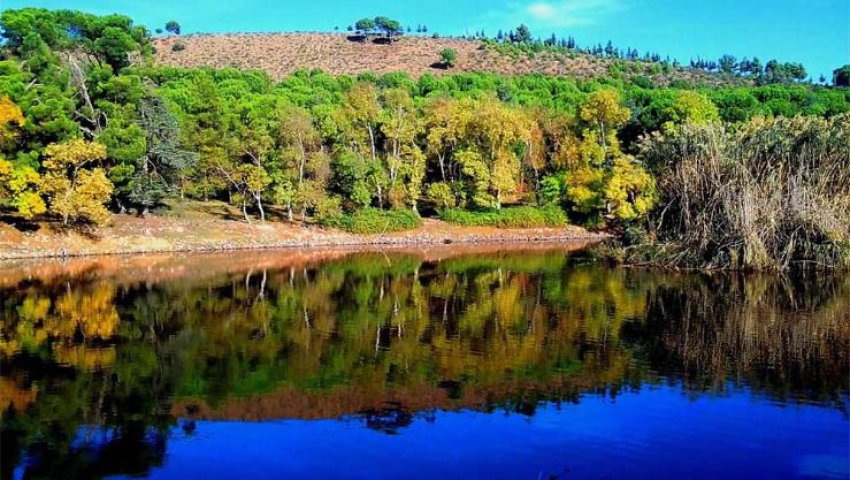 Algérie (Constantine) - Revaloriser la zone forestière de Djebel Ouahch