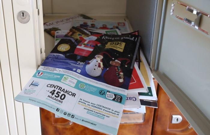 Planète (France/Europe) - La fin des prospectus papier, une bonne nouvelle pour l’environnement ?