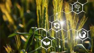 L’agriculture algérienne et l’intelligence artificielle (IA)