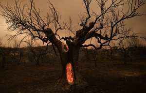 Planète - Relancer la lutte contre la crise du climat après un été des extrêmes