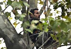 Planète (France/Europe) - Autoroute A69: l’ex-député Cédric Villani grimpe à un arbre pour rejoindre le militant Thomas Brail