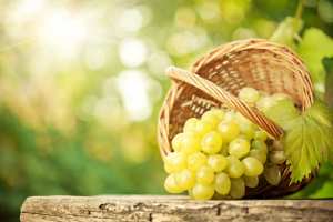 Salon de la viticulture de Boumerdès : Le raisin de table peut s’imposer sur le marché mondial