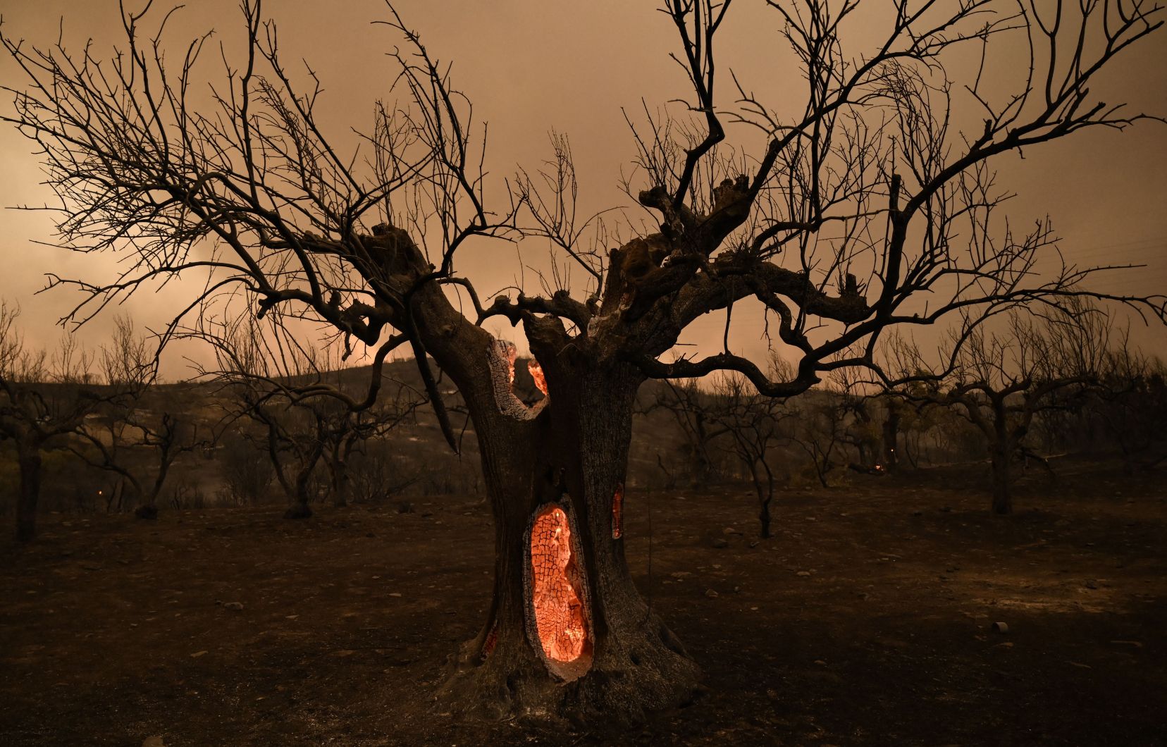 Planète - Relancer la lutte contre la crise du climat après un été des extrêmes