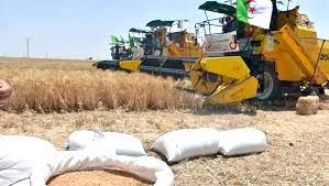 Algérie (Constantine) - Rencontre nationale sur la céréaliculture: Une série de mesures pour soutenir les producteurs