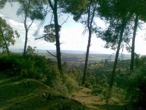 بلدية سفيزف (بالغة فرنسية: sfisef)