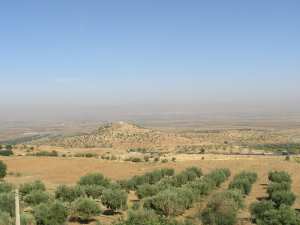 سهل غريس أو حوض غريس هو سهل جزائري يقع في ولاية معسكر في شمال غرب البلاد.