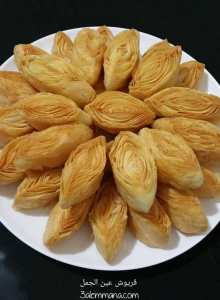 #ڨريوش_عين_الجمل