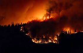 Planète (Europe) - Pourquoi la France est-elle relativement épargnée par les incendies estivaux ?