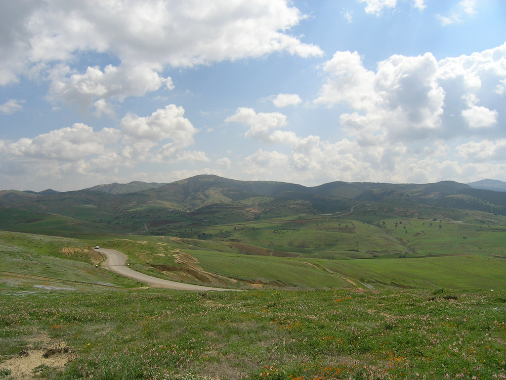 Les monts des Beni-Chougrane sont une chaîne montagneuse d'Algérie située dans le Nord-Ouest du pays.