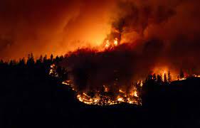 Planète (Europe) - Pourquoi la France est-elle relativement épargnée par les incendies estivaux ?