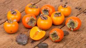 Mechtras La fête de la plaquemine revient