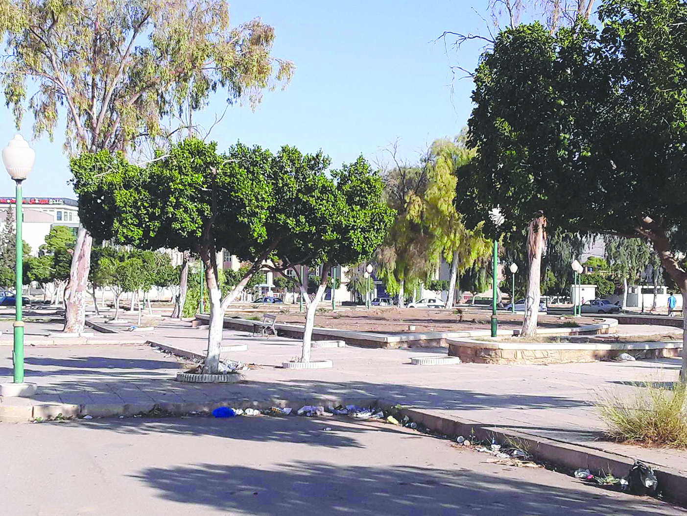 Algérie (Chlef) -  De grands espaces verts à l’abandon